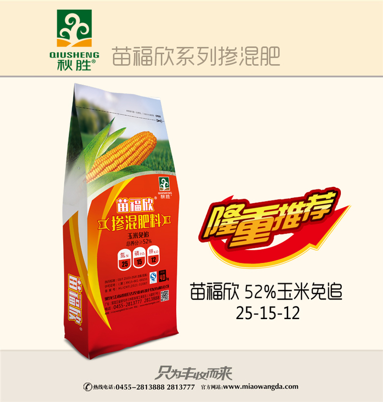 苗福欣--玉米.jpg